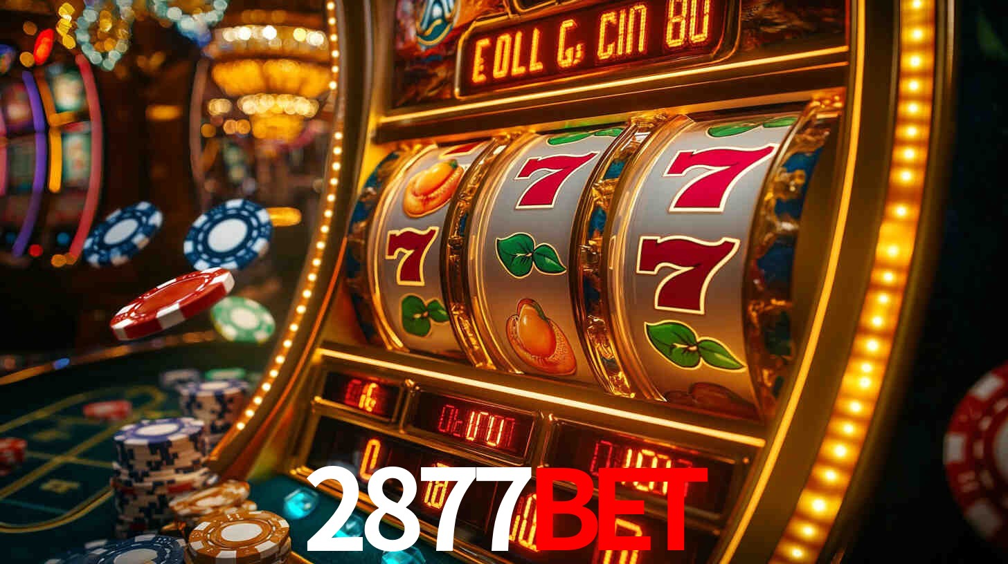 Statistics 2877bet