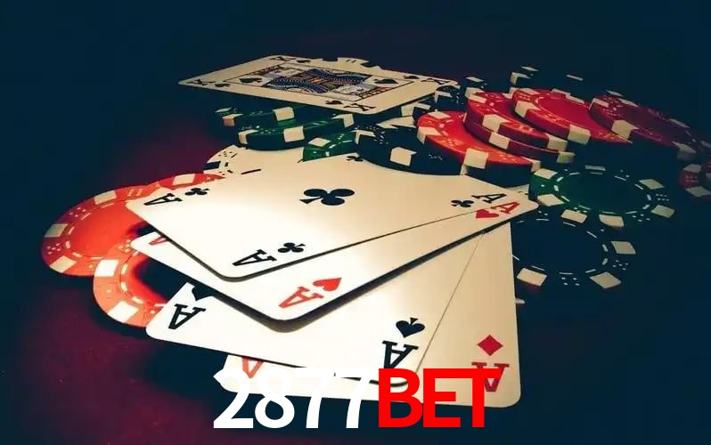 2877bet